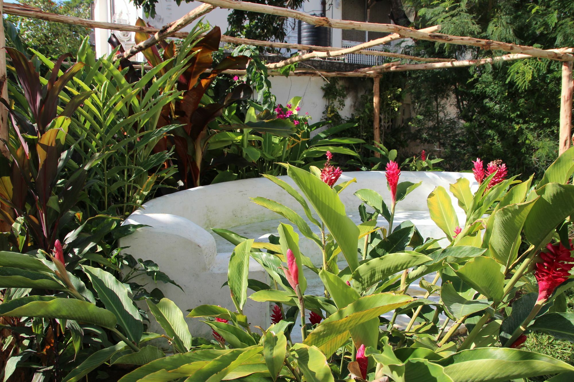 Bed & Breakfast Hiliki House Zanzibar